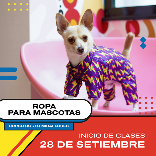 Curso Corto de Ropa para Mascotas - Miraflores