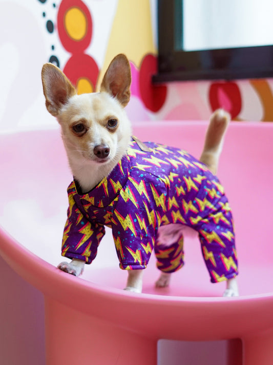 Ropa para Mascotas - Miraflores - Enero