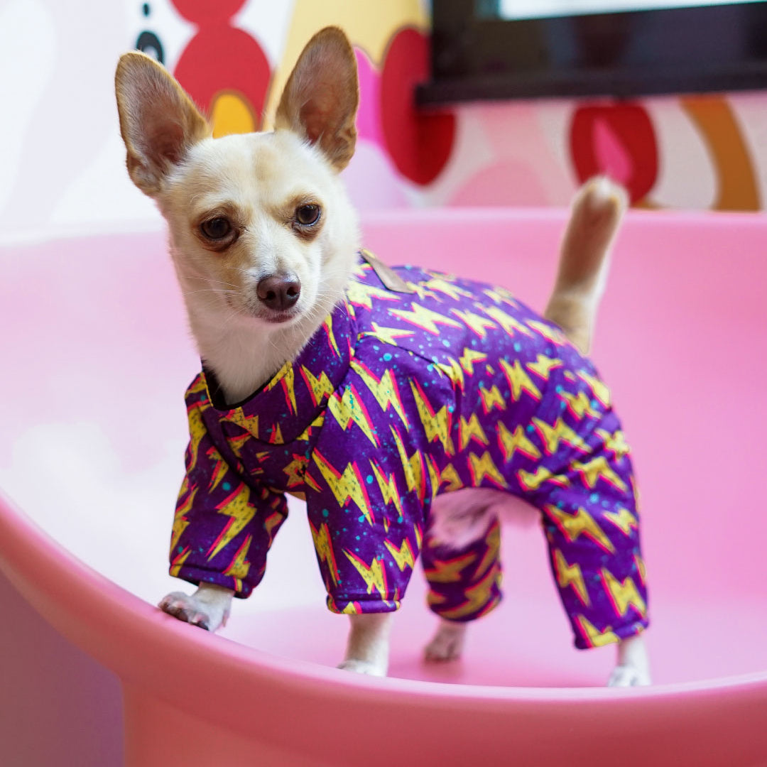 Ropa para Mascotas - Miraflores  - Setiembre