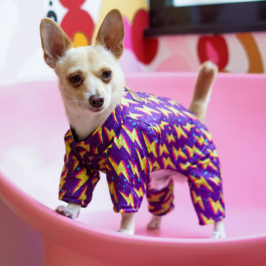 Ropa para Mascotas - Miraflores  - Setiembre